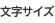 文字サイズ